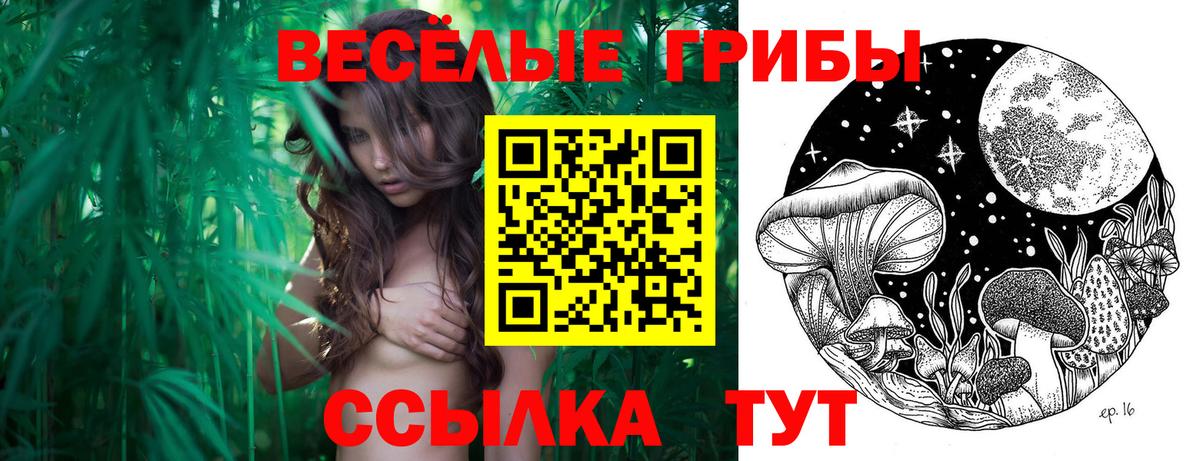 Псилоцибиновые грибы Magic Shrooms Соликамск