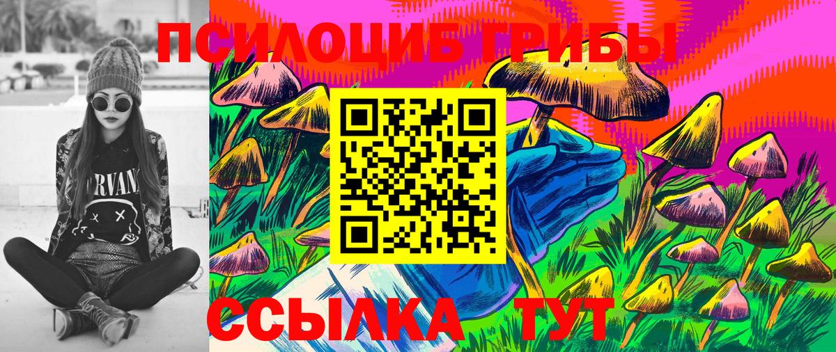 Соликамск  Псилоцибиновые грибы Cubensis  Вход с VPN 
